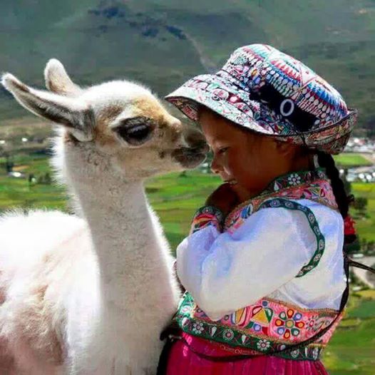 Peru kid and llama