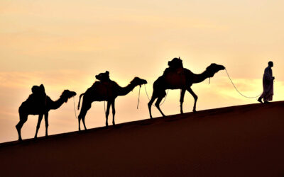 Wij mensen zijn de hoeders van het leven op aarde