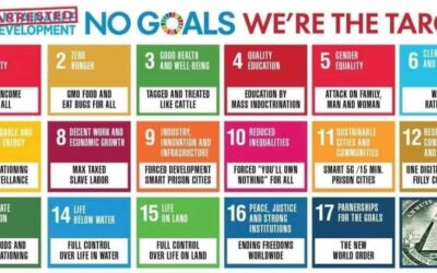 De VN en Agenda 2030