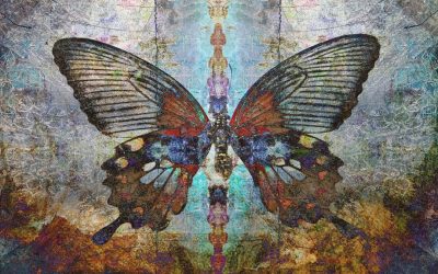 Waarom bio-identieke hormonen niet werken