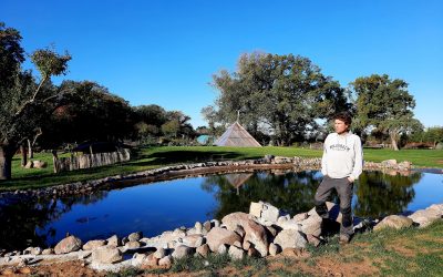 Interview Marijn Poels: Moeten we onze oercode herzien?