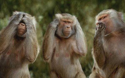 Waarom durft niemand het over virussen te hebben?