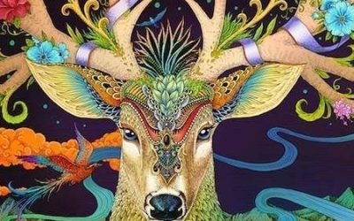 Als ik kanker kon genezen