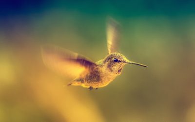 De tijd die je kwijt bent