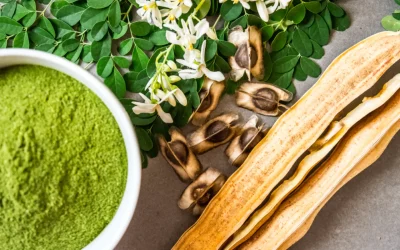 Magische moringa