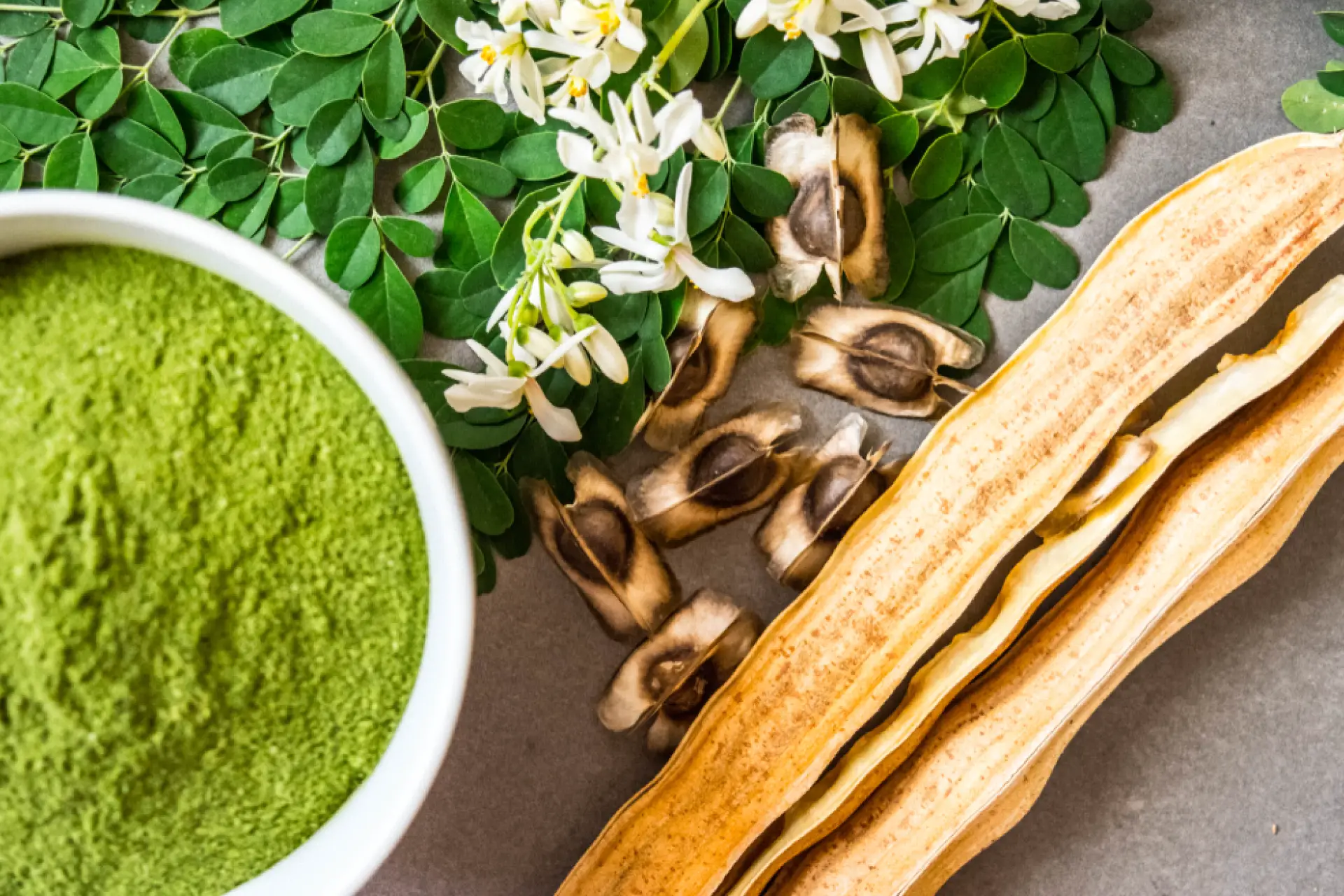 moringa4