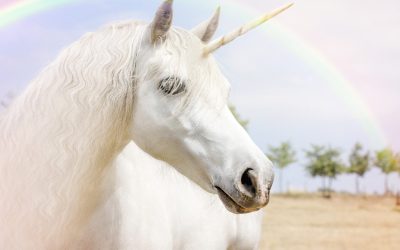 Première ‘Dood door schuld?’ van Maurice de Hond