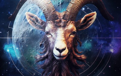 Alles wat je niet wilt weten over Steenbok