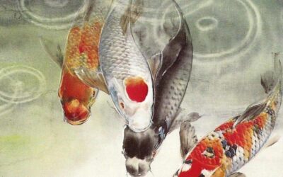 Alles wat je niet wilt weten over Vissen